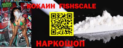 apvp Камышлов