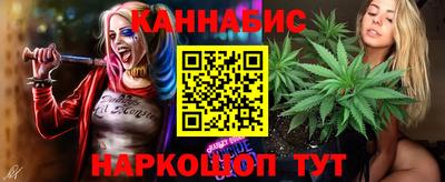 сатива Канаш