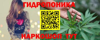 сатива Канаш