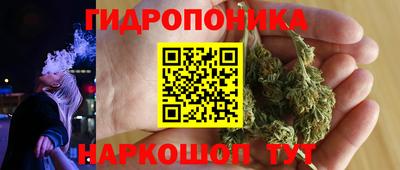 сатива Канаш
