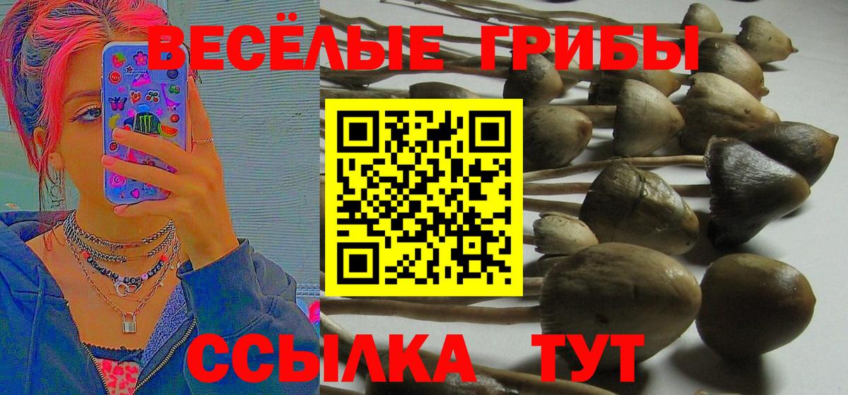 Галлюциногенные грибы GOLDEN TEACHER  Вход с VPN  Красный Сулин 