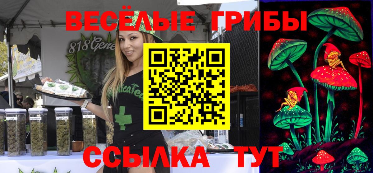 Галлюциногенные грибы Psilocybine cubensis Красный Сулин